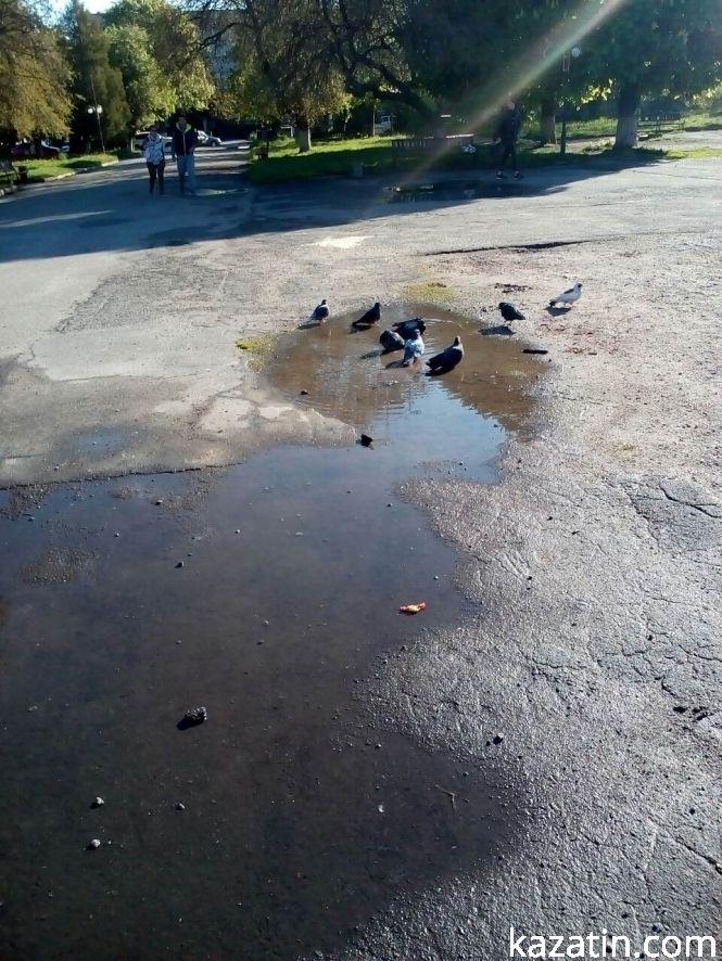 Фото дня: так сьогодні виглядає козятинська центральна площа, фото №8 на сайті 20minut.ua