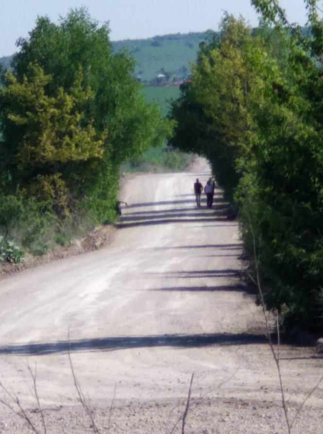 Раніше було краще: як у Кам'янці пройшло ралі 