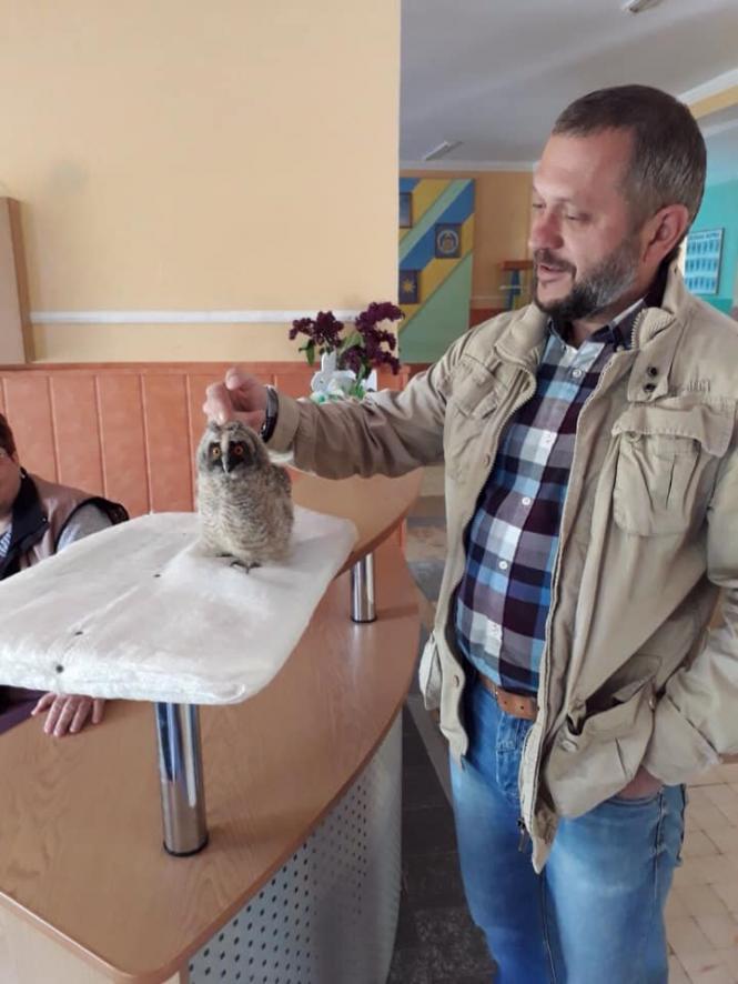 Новини Кам'янця-Подільського - фото з Працівники кам'янецької школи врятували совеня Працівники кам'янецької школи врятували совеня, фото №7 на сайті 20minut.ua