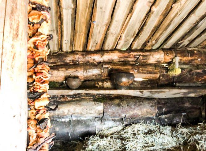 Новини Житомира - фото з На Житомирщині вже за кілька днів розпочнуться зйомки серіалу «Слов’яни» На Житомирщині вже за кілька днів розпочнуться зйомки серіалу «Слов’яни», фото №2 на сайті 20minut.ua