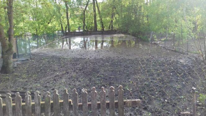 Новини Тернополя - фото з "Плавали кури, людям позмивало посіви": на Тернопільщині річка вийшла з берегів та підтопила село "Плавали кури, людям позмивало посіви": на Тернопільщині річка вийшла з берегів та підтопила село, фото №3 на сайті 20minut.ua