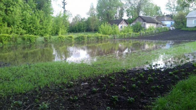 Новини Тернополя - фото з "Плавали кури, людям позмивало посіви": на Тернопільщині річка вийшла з берегів та підтопила село "Плавали кури, людям позмивало посіви": на Тернопільщині річка вийшла з берегів та підтопила село, фото №4 на сайті 20minut.ua