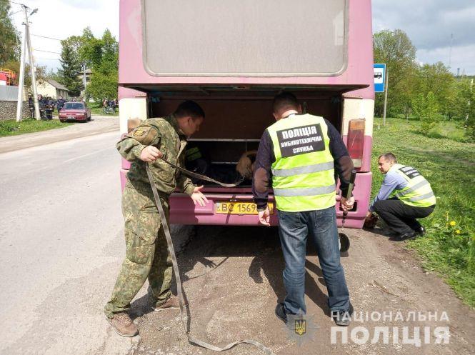 Новини Тернополя - фото з Шукають додзвонювача, який повідомив про замінування рейсового автобусу «Тернопіль- Червоноград» Шукають додзвонювача, який повідомив про замінування рейсового автобусу «Тернопіль- Червоноград», фото №2 на сайті 20minut.ua