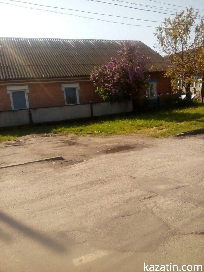 Новини Козятина - фото з Фото дня: Козятинщина квітне бузком та каштанами Фото дня: Козятинщина квітне бузком та каштанами, фото №8 на сайті 20minut.ua