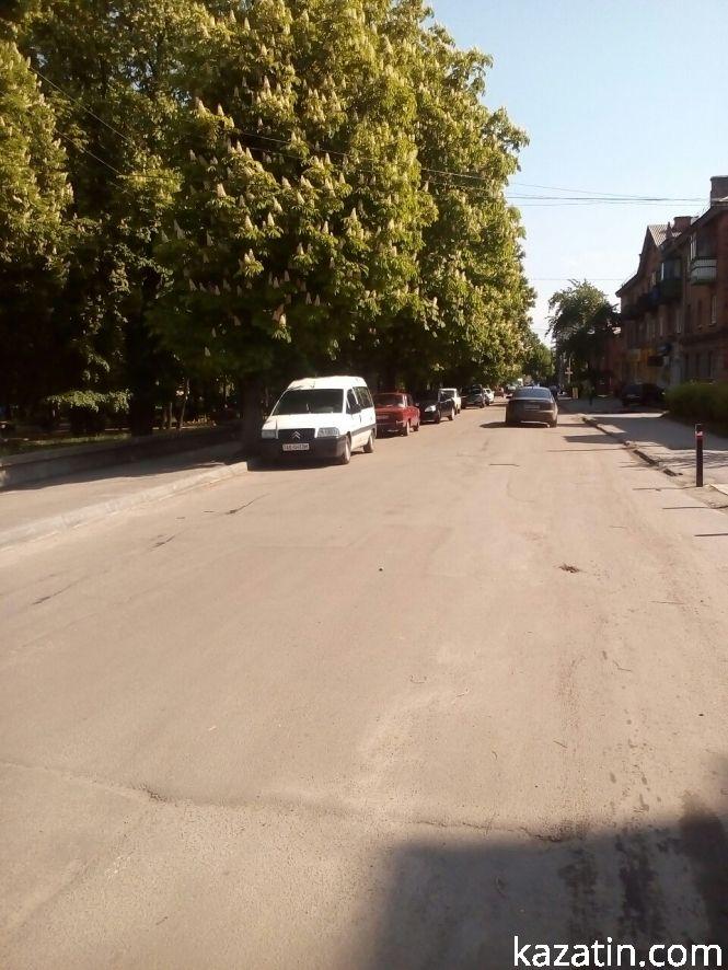 Новини Козятина - фото з Фото дня: Козятинщина квітне бузком та каштанами Фото дня: Козятинщина квітне бузком та каштанами, фото №5 на сайті 20minut.ua