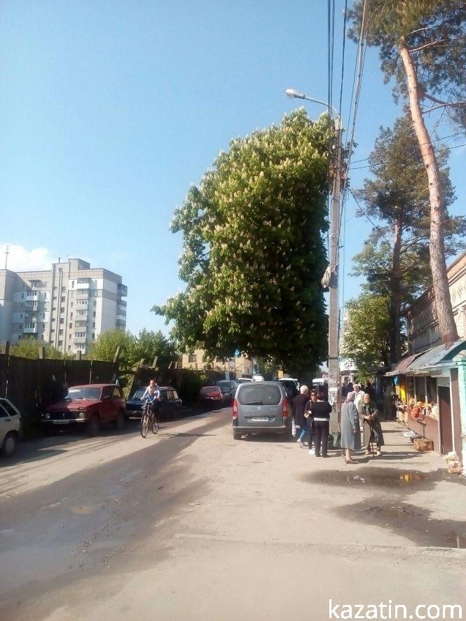Новини Козятина - фото з Фото дня: Козятинщина квітне бузком та каштанами Фото дня: Козятинщина квітне бузком та каштанами, фото №6 на сайті 20minut.ua