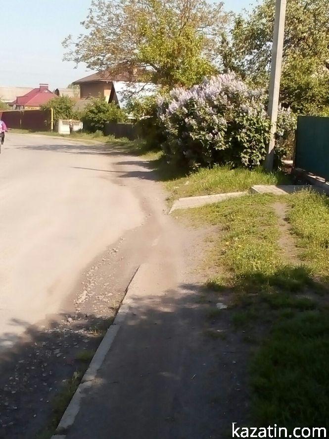 Новини Козятина - фото з Фото дня: Козятинщина квітне бузком та каштанами Фото дня: Козятинщина квітне бузком та каштанами, фото №3 на сайті 20minut.ua