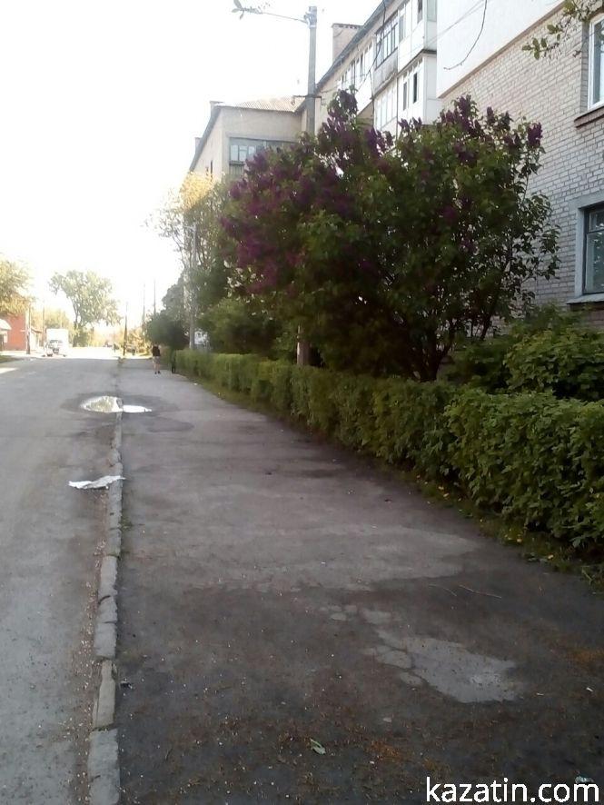 Новини Козятина - фото з Фото дня: Козятинщина квітне бузком та каштанами Фото дня: Козятинщина квітне бузком та каштанами, фото №4 на сайті 20minut.ua