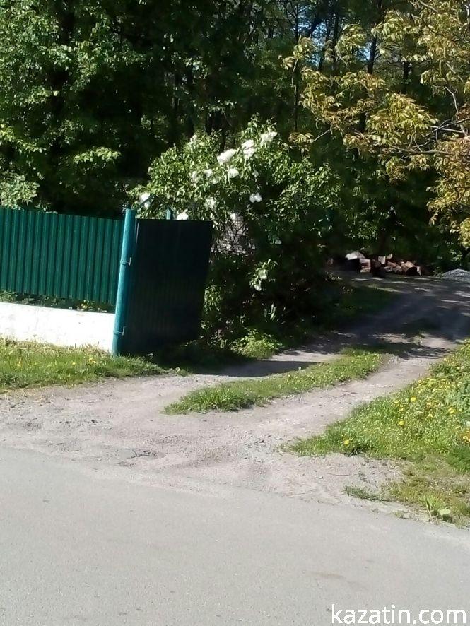 Новини Козятина - фото з Фото дня: Козятинщина квітне бузком та каштанами Фото дня: Козятинщина квітне бузком та каштанами, фото №1 на сайті 20minut.ua