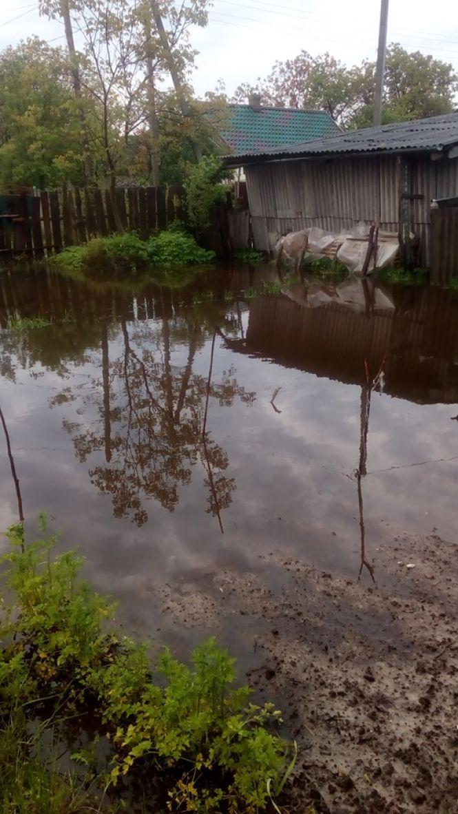 Новини Хмельницького - фото з Повалені дерева, затоплені двори та 70 населених пунктів без світла: наслідки негоди на Хмельниччині Повалені дерева, затоплені двори та 70 населених пунктів без світла: наслідки негоди на Хмельниччині, фото №12 на сайті vsim.ua