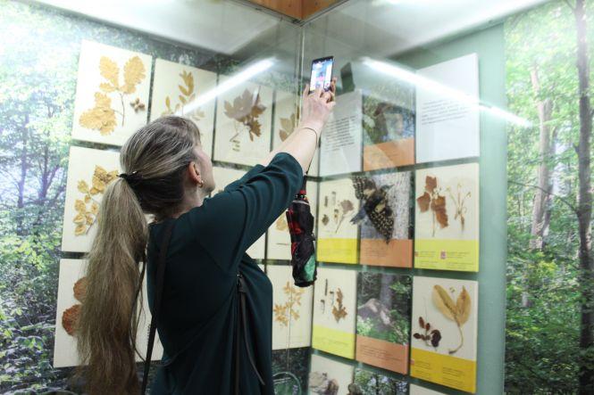 «І мамонт теж сподобався». Що гості побачили в музеї цієї ночі, фото №6 на сайті 20minut.ua