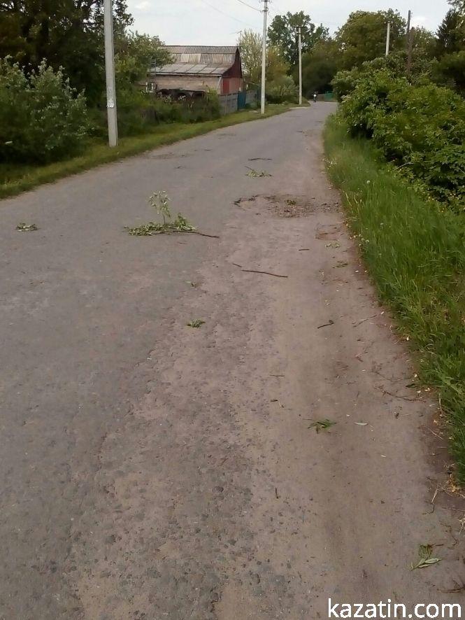 Новини Козятина - фото з Фото дня: дерево на дротах та гілки на дорозі Фото дня: дерево на дротах та гілки на дорозі, фото №4 на сайті 20minut.ua