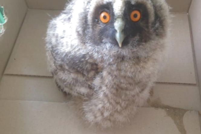 Новини Кам'янця-Подільського - фото з Події у Кам’янці-Подільському, які ви могли пропустити: ТОП - 5 новин Події у Кам’янці-Подільському, які ви могли пропустити: ТОП - 5 новин, фото №2 на сайті 20minut.ua