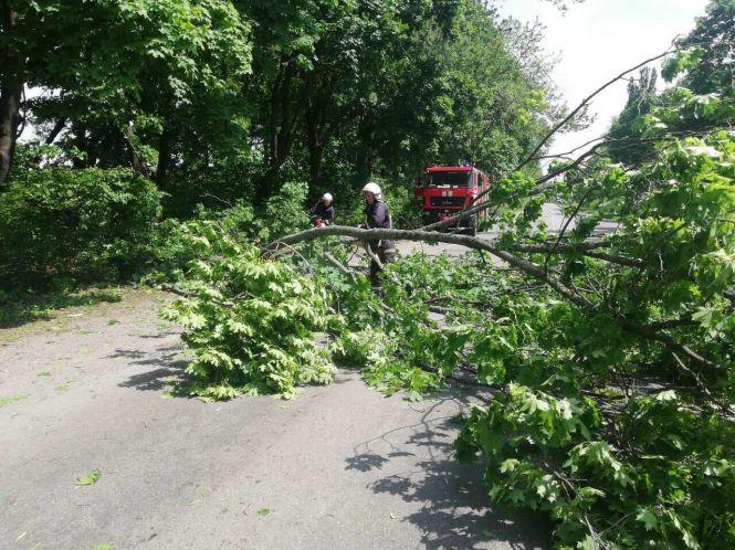 Новини Козятина - фото з Повалені дерева на Козятинщині: рятувальники ліквідовують наслідки негоди Повалені дерева на Козятинщині: рятувальники ліквідовують наслідки негоди, фото №1 на сайті 20minut.ua