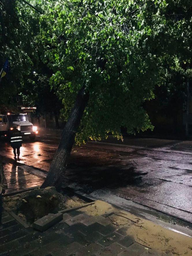 Повалені дерева та пошкоджені електромережі: Житомир ліквідовує наслідки нічної негоди, фото №4 на сайті 20minut.ua