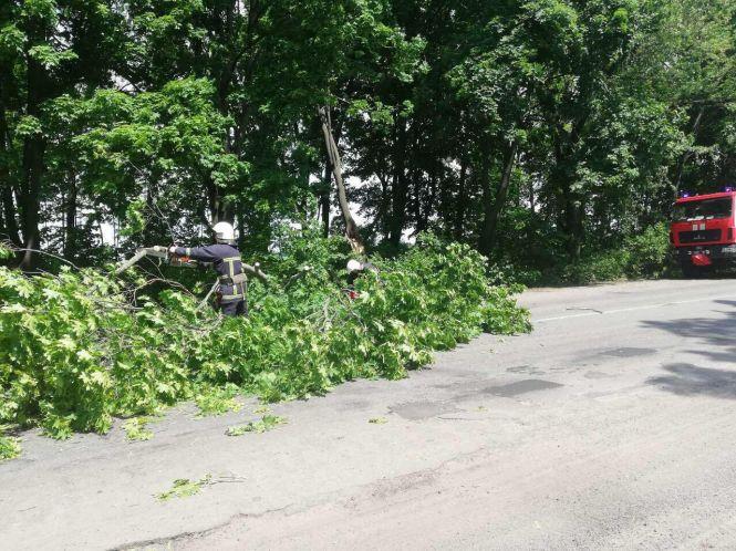 Негода в області: підтоплена амбулаторія та перекрита дорога, фото №4 на сайті 20minut.ua