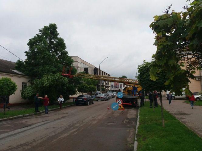 Повалені дерева та пошкоджені електромережі: Житомир ліквідовує наслідки нічної негоди, фото №5 на сайті 20minut.ua