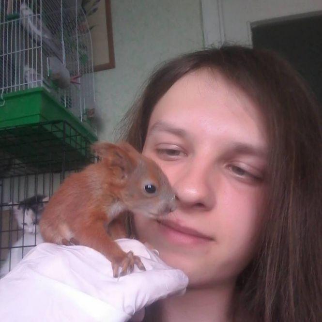 «До нього приносять не тільки травмованих горобців» Волонтер з Вінниці рятує їжаків, котів, білок, лисиць..., фото №3 на сайті 20minut.ua