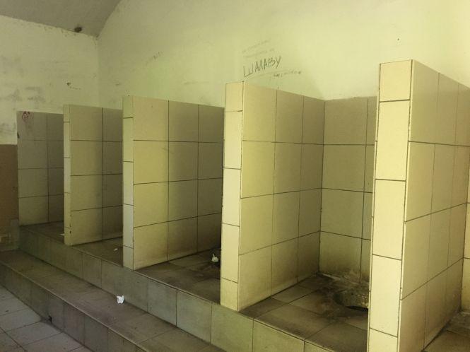 Новини Хмельницького - фото з “Запах фіалок”, матюки і “привітні” мухи: ревізія туалетів у парках Хмельницького “Запах фіалок”, матюки і “привітні” мухи: ревізія туалетів у парках Хмельницького, фото №1 на сайті vsim.ua