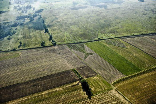 Новини Вінниці - фото з Його гігантські «зелені риби» на кордоні України і Польщі полонили усіх! Тепер Ярослав Козяра готує арт-сюрприз для OPERAFEST TULCHYN Його гігантські «зелені риби» на кордоні України і Польщі полонили усіх! Тепер Ярослав Козяра готує арт-сюрприз для OPERAFEST TULCHYN, фото №2 на сайті 20minut.ua