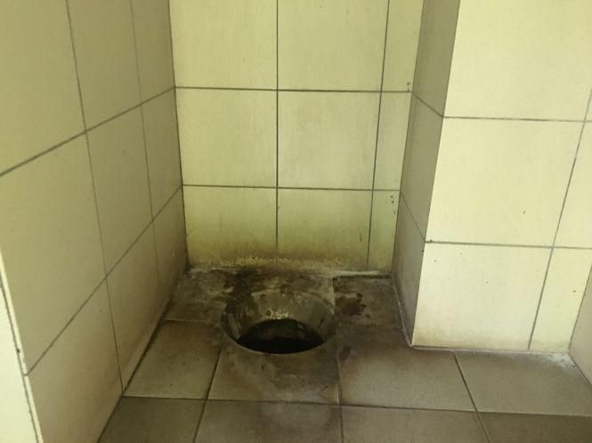 Новини Хмельницького - фото з “Запах фіалок”, матюки і “привітні” мухи: ревізія туалетів у парках Хмельницького “Запах фіалок”, матюки і “привітні” мухи: ревізія туалетів у парках Хмельницького, фото №2 на сайті vsim.ua