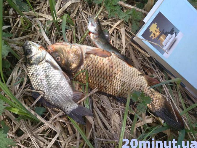 Що робити, аби добре клювало: секрети риболовлі від тернополянки, фото №2 на сайті 20minut.ua