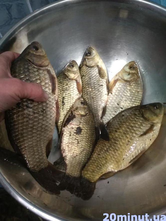 Що робити, аби добре клювало: секрети риболовлі від тернополянки, фото №6 на сайті 20minut.ua