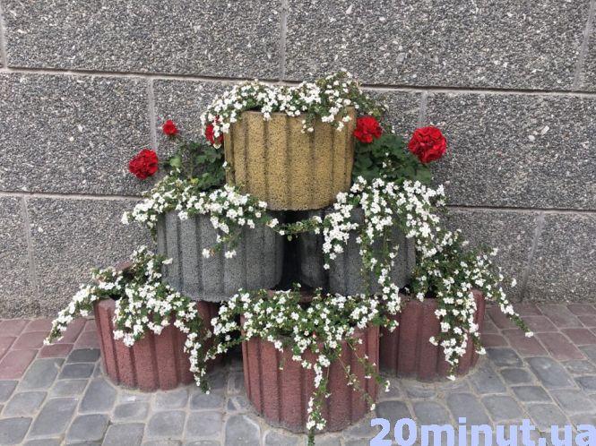 Новини Тернополя - фото з Тернопіль квітне: що садять люди на клумбах та у квітниках (фоторепортаж)