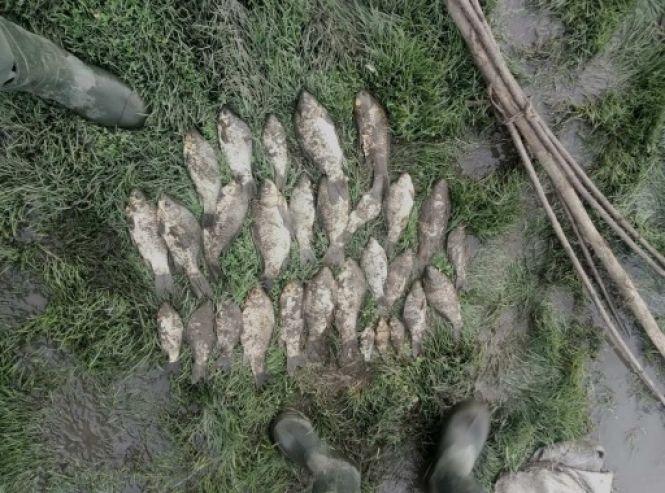 Новини Хмельницького - фото з На Хмельниччині браконьєри наловили риби на понад 10 тисяч гривень На Хмельниччині браконьєри наловили риби на понад 10 тисяч гривень, фото №2 на сайті vsim.ua