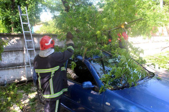 Новини Хмельницького - фото з У Хмельницькому дерево впало на припарковані автомобілі (ФОТО, ВІДЕО) У Хмельницькому дерево впало на припарковані автомобілі (ФОТО, ВІДЕО), фото №2 на сайті vsim.ua