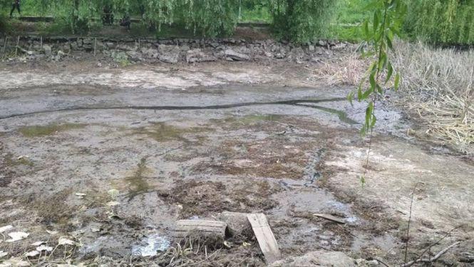 Два роки і 25 мільйонів гривень витратять на благоустрій озера біля Лісопарку, фото №1 на сайті 20minut.ua