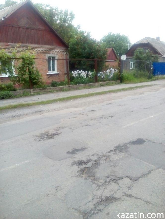 Фото дня: в Козятині цвітуть іриси, фото №4 на сайті 20minut.ua