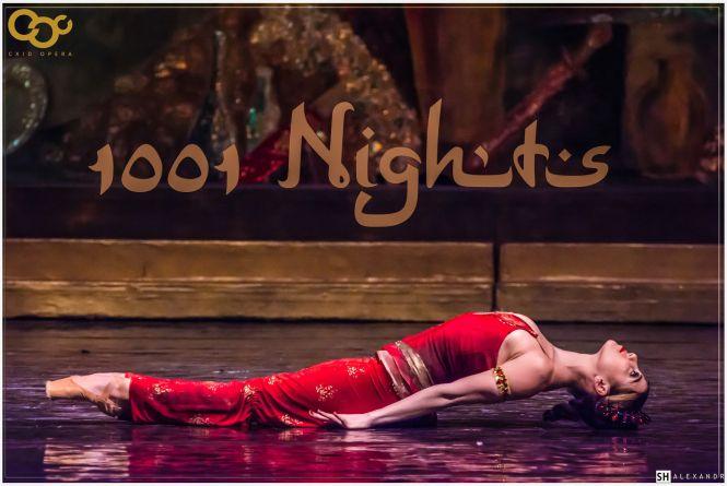 «Тисяча і одна ніч» під відкритим небом Палацу Потоцьких, фото №16 на сайті 20minut.ua