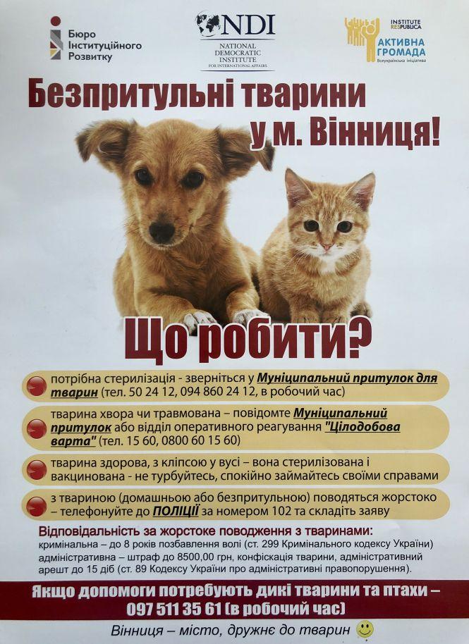 Новини Вінниці - фото з Як у Вінниці збираються «боротися» з безпритульними тваринами Як у Вінниці збираються «боротися» з безпритульними тваринами, фото №7 на сайті 20minut.ua