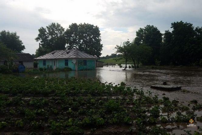 На Тернопільщині через зливи вода підтопила будинки і городи, фото №2 на сайті 20minut.ua