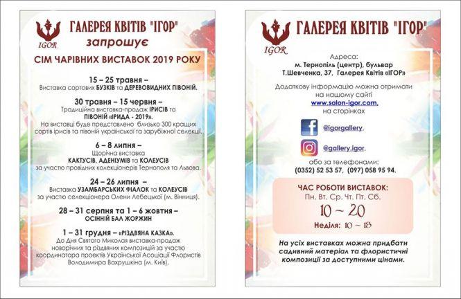 У центрі Тернополя – виставка ірисів та півоній «ІРИДА-2019», фото №8 на сайті 20minut.ua