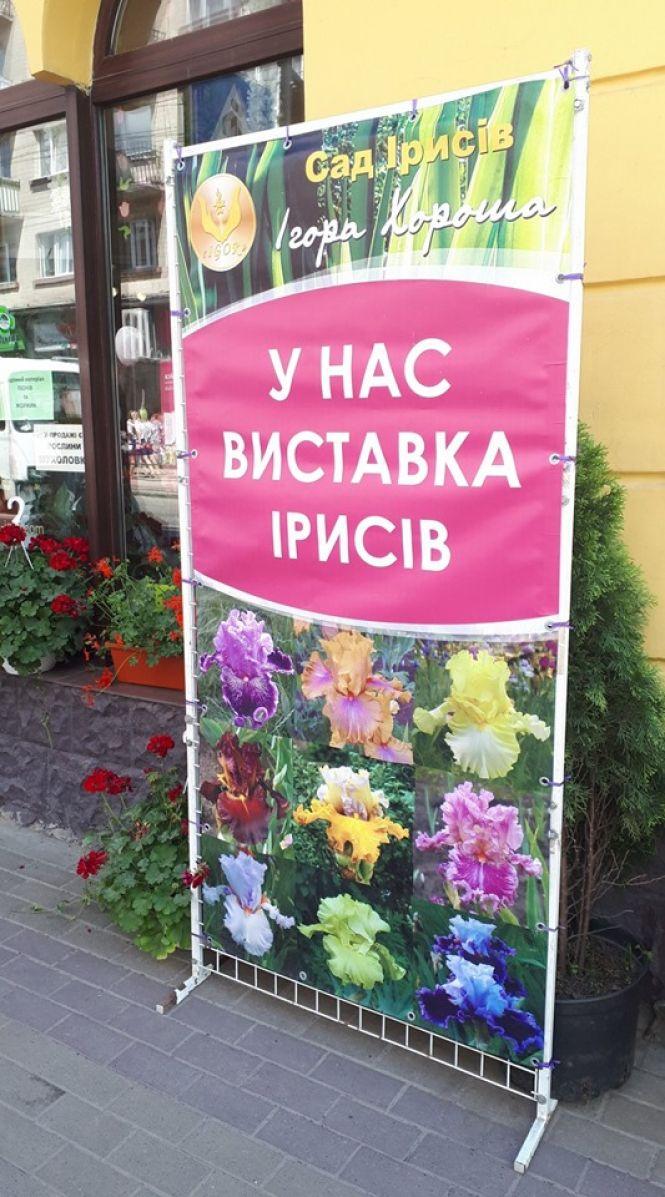 У центрі Тернополя – виставка ірисів та півоній «ІРИДА-2019», фото №7 на сайті 20minut.ua