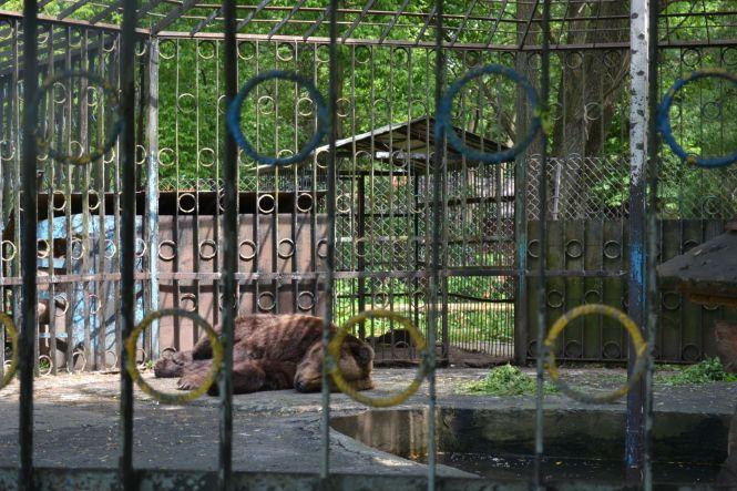 Новини Хмельницького - фото з Як та за скільки утримують тварин в зоокутку, що в парку Чекмана Як та за скільки утримують тварин в зоокутку, що в парку Чекмана, фото №1 на сайті vsim.ua
