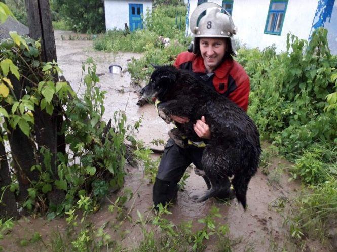 Новини Вінниці - фото з Негода в області: підтоплено дві дороги, на одній із них обмежили рух Негода в області: підтоплено дві дороги, на одній із них обмежили рух, фото №5 на сайті 20minut.ua
