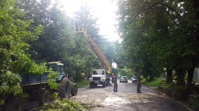 Як проходить ліквідація вчорашньої негоди у Кам'янці, фото №3 на сайті 20minut.ua