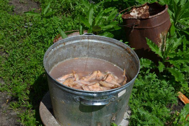 Новини Хмельницького - фото з Як та за скільки утримують тварин в зоокутку, що в парку Чекмана Як та за скільки утримують тварин в зоокутку, що в парку Чекмана, фото №9 на сайті vsim.ua