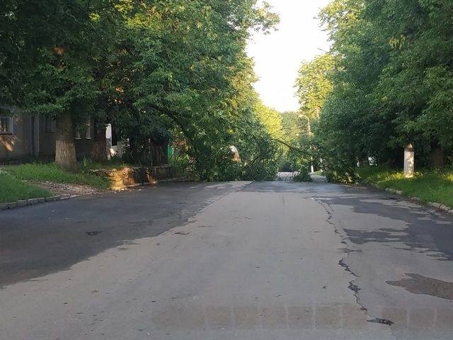 Як проходить ліквідація вчорашньої негоди у Кам'янці, фото №2 на сайті 20minut.ua