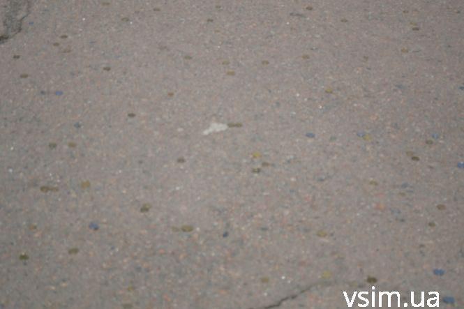 Під дзвін монет з прикордонної академії випустили 350 молодих лейтенантів (ФОТО, ВІДЕО), фото №18 на сайті vsim.ua