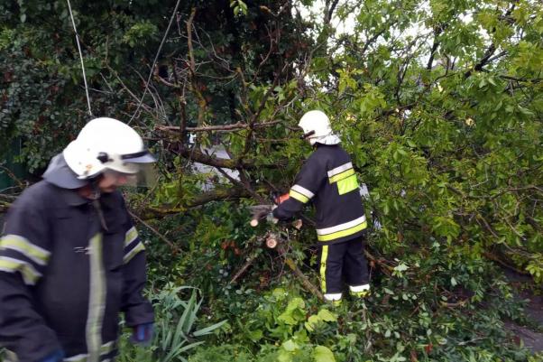 Затоплені будинки та повалені дерева: що негода наробила на Хмельниччині, фото №2 на сайті vsim.ua