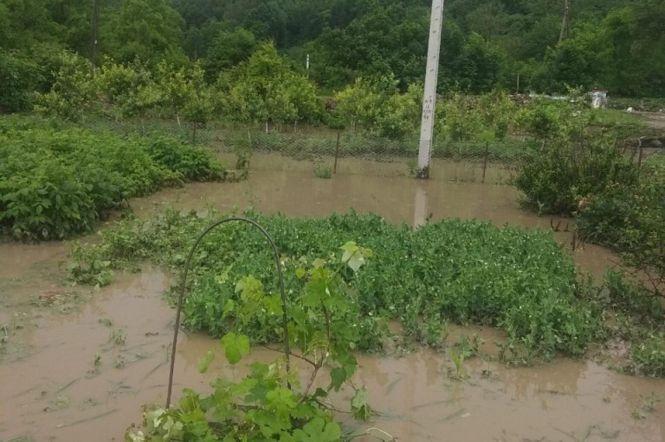 Негода на Хмельниччині: рятувальники продовжують ліквідовувати наслідки, фото №5 на сайті vsim.ua
