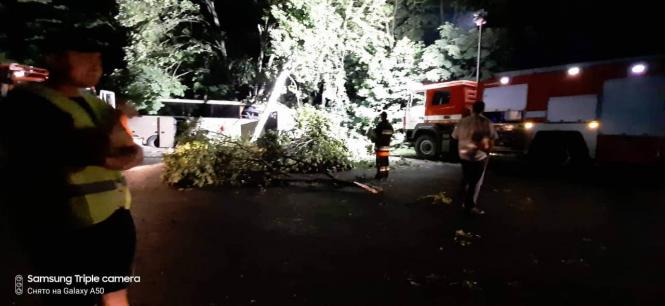 Новини Хмельницького - фото з Автобус з 26 пасажирами влетів у дерево біля Війтівців. Є загиблий і постраждалі Автобус з 26 пасажирами влетів у дерево біля Війтівців. Є загиблий і постраждалі, фото №3 на сайті vsim.ua