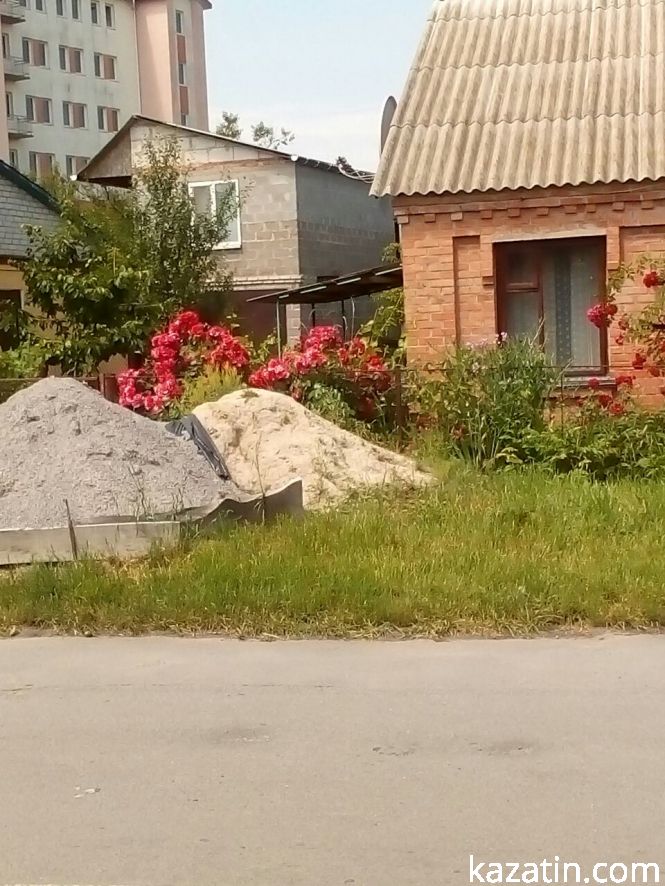 Фото дня: Козятин квітне трояндами, фото №2 на сайті 20minut.ua