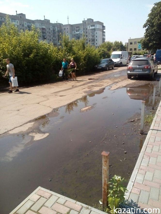 Козятинчани готуються до Трійці — купляють зілля, фото №7 на сайті 20minut.ua
