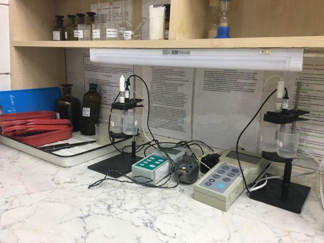 Фруктово-овочевий сезон: що і за скільки продають на центральних ринках  Хмельницького, фото №5 на сайті vsim.ua