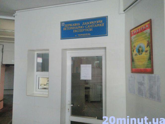 Чи безпечні фрукти та ягоди на тернопільському ринку, фото №2 на сайті 20minut.ua